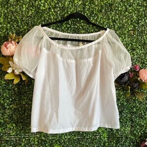 NWOT Swearing Parrot Top with Sheer Panel